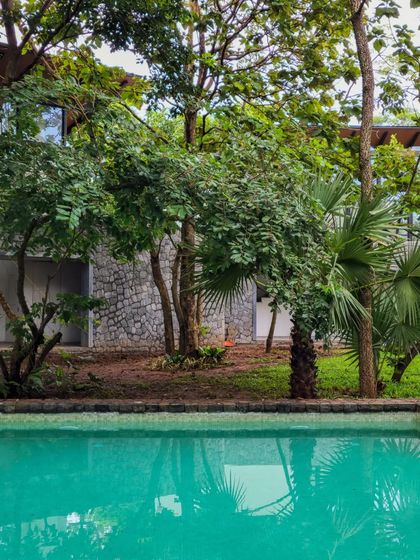 The pool at 'Villa 16', reflecting the dense green canopy. Our homes are designed to be backdrops for life, filled with water, sun, and plant life.