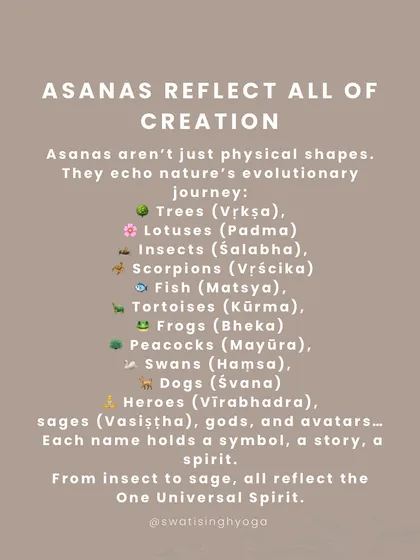 Asanas reflect all of creation, from trees and insects to heroes and gods. Each name holds a symbol and a story, reminding us that all forms reflect the One Universal Spirit.