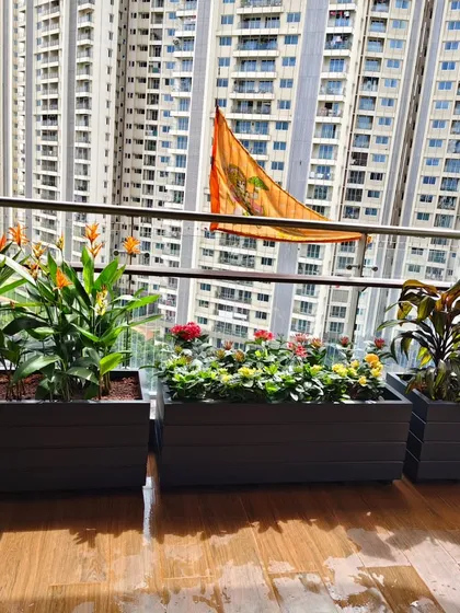 This is how I turn a high-rise balcony into a functional garden. These custom-fitted planter boxes are filled with a mix of flowering and foliage plants suited for urban environments.