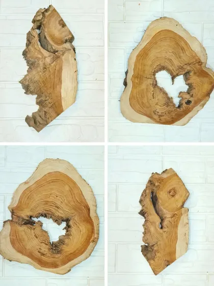 Another look at our collection of premium sagwan wood slices. Ranging from 9 to 16 inches, these pieces are ideal for artists who want to incorporate natural elements into their resin work.