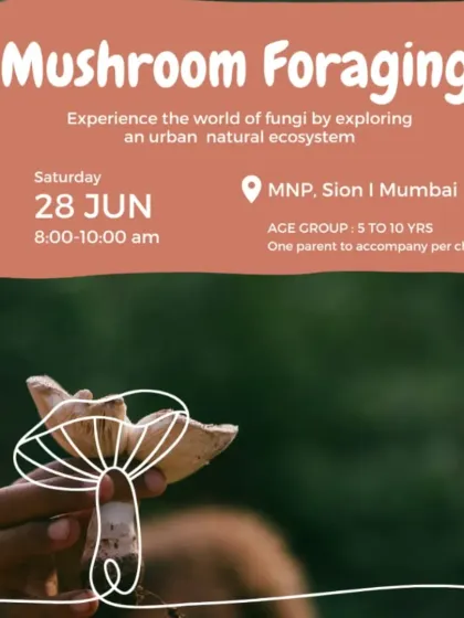 Mushroom Foraging is coming to MNP, Sion in Mumbai! An event for kids 5-10.