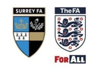 BPSS - Elite Player Development Program Our Stars: Pathways to Pro photo 9