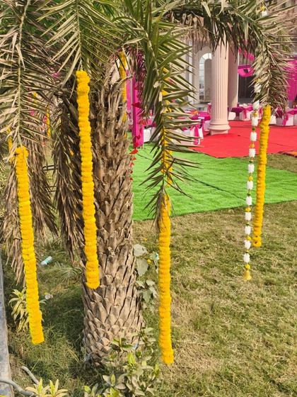 Simple yet traditional Haldi decor, with marigold garlands hanging from a palm tree in the event space.