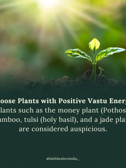 Plants like the money plant, bamboo, tulsi, and jade are considered auspicious in Vastu. They each carry a specific energy that can attract wealth, health, and good luck.