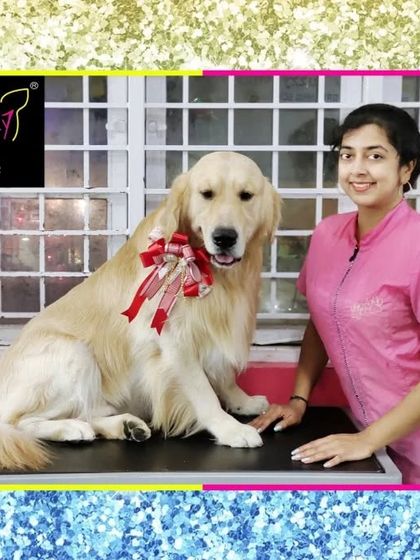 Fuzzy Wuzzy - Pet Grooming & Spa Spaniels, Retrievers & Large Breed Grooming photo 59