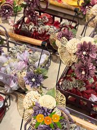 Festive Decor Collections