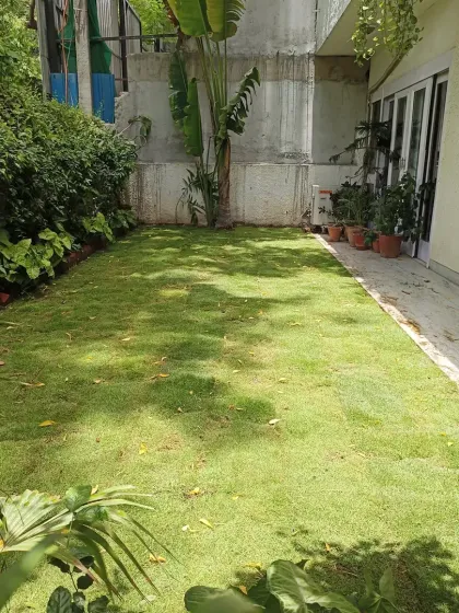 The final result of a small garden installation. The grass provides a clean, green look, perfect for a cozy backyard or side garden.