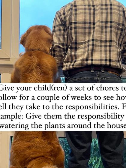 Nitika Ahlawat - Dog and Child Safety & Integration Is Your Family Ready for a Dog? photo 10