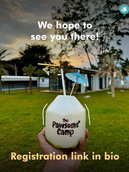 The Pack - Pet-Friendly Adventures & Meetups Pool Days & Swimming Camps photo 9