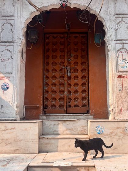 Vanishing Havelis of Old Delhi photo 41