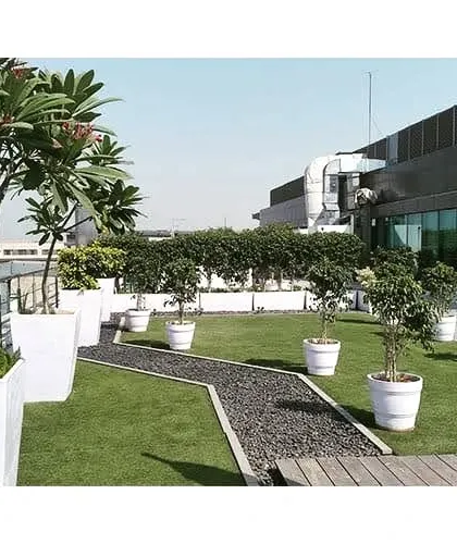 This rooftop garden for a commercial building features a mix of artificial grass, a gravel pathway, and large white planters with trees and shrubs. It provides a green breakout space for employees to relax.