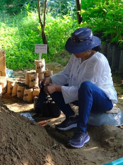 A volunteer at our Aranya Native Nursery prepares soil bags for transplantation, a crucial step in our propagation process.