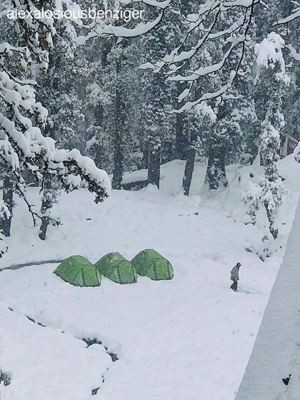 The same serene scene of three tents in the snow, viewed from between snow-covered branches, emphasizing the feeling of being enveloped by the winter landscape.