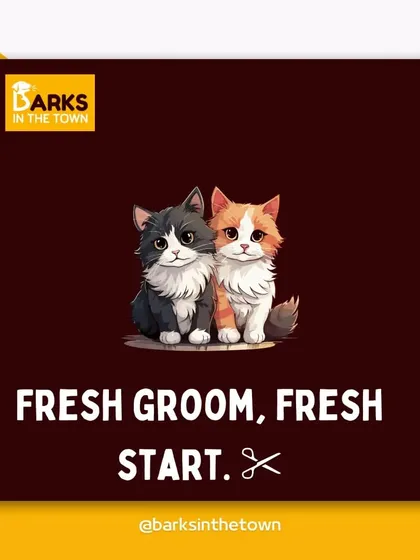 A fresh groom means a fresh start. We believe a clean and comfortable pet is a happy pet.
