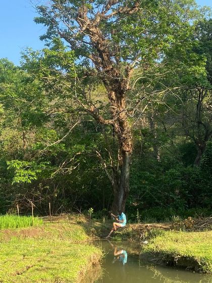 When I say Malnad is heaven, this is what I mean. These are scenes from my family's home, a place of incredible natural beauty that constantly inspires my work and my connection to the earth.