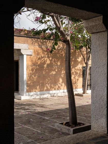 The shadow of a tree falls on a rammed earth wall, a simple moment that highlights the connection between the building and its natural surroundings.