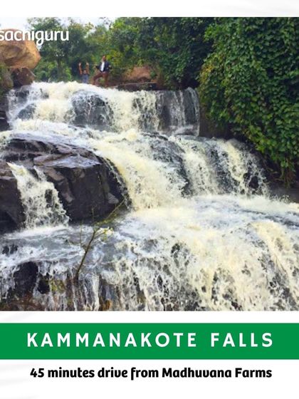 The enchanting Kammanakote Falls are just a 45-minute drive from Madhuvana Farms. It's a refreshing and picturesque scene for nature lovers and photographers.