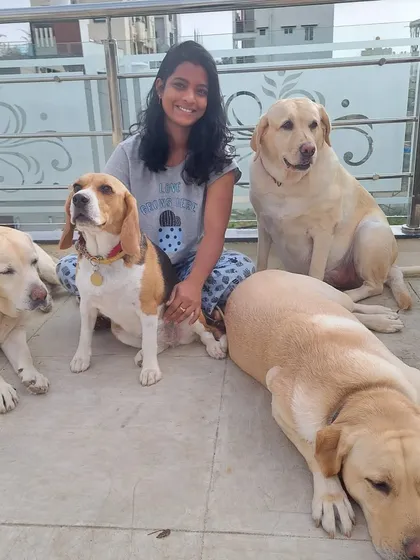 A happy pack is a sign of a happy home. Here I am with a few of my lovely guests, a mix of Labradors and a Beagle, all enjoying their time together on the terrace. This is the kind of relaxed, social environment I foster.