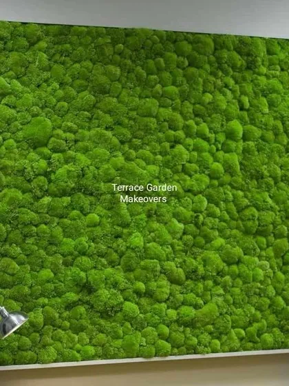Sometimes, simplicity is the most powerful statement. This large, framed panel is filled entirely with lush, green preserved bun moss, creating a stunning textural feature wall that is both modern and natural.