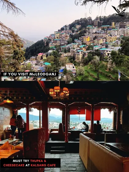 When in Mcleodganj, the Thukpa and cheesecake at Kalsang Cafe are a must-try. I always make sure you experience the best local food.
