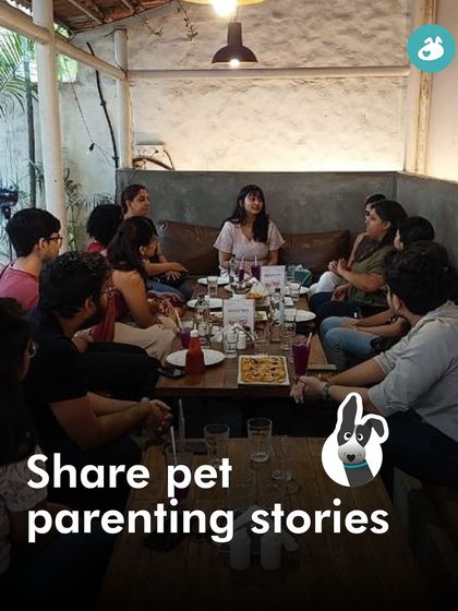 The Pack - Pet-Friendly Adventures & Meetups City Meetups & Doggie Picnics photo 34