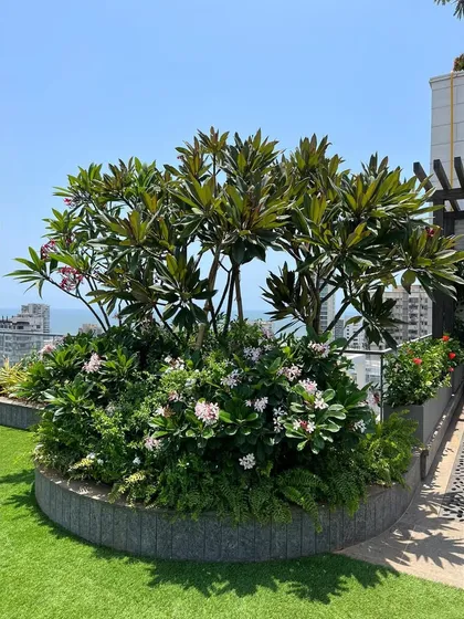 This circular planter on a rooftop garden becomes a living sculpture. We selected a mix of flowering plants and foliage to create a focal point with year-round interest, set against the backdrop of the sea.