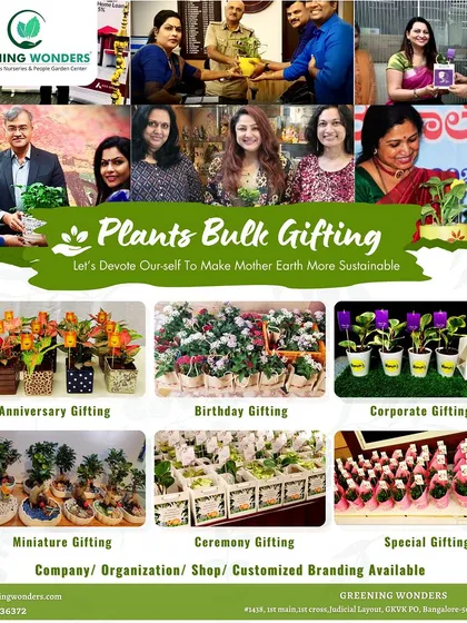 We cater to all of life's celebrations. This collage shows the breadth of our services, from anniversary and birthday gifts to corporate and special event gifting, with real photos of clients enjoying their green gifts.