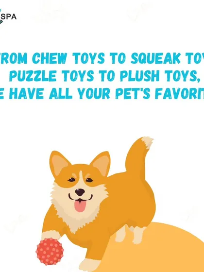 Boredom is banned here. From tough chew toys for dental health to soft plush toys for cuddling, we have all your pet's favorites to keep them entertained.