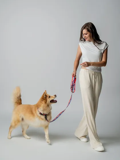 I wanted to show the product in motion for this shot. A model walks with this beautiful dog, showcasing the leash and harness in a natural, dynamic way. This helps customers see how the product functions during a typical walk.