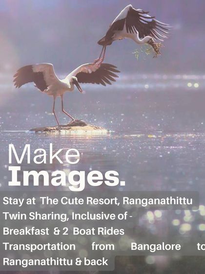 The "Sense the Light" Workshop Experience photo 7