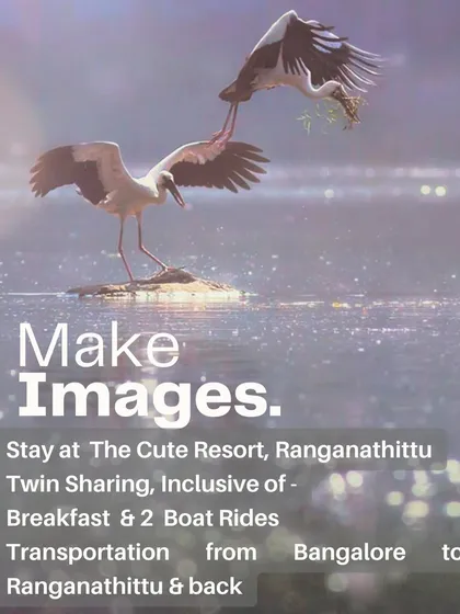 All logistics are taken care of so you can focus on making images. The workshop includes your stay at a comfortable resort in Ranganathittu, breakfast, two boat rides for water-level perspectives, and transportation from Bangalore and back.
