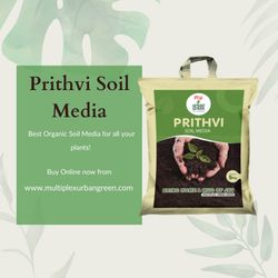 media-item