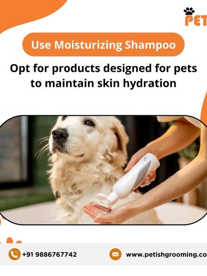 Petish Grooming - Mobile Grooming for Dogs & Cats Pet Care Tips & FAQs photo 5