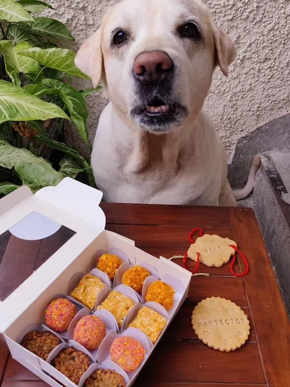 This sweet Labrador has his eyes locked on the prize, a box full of my special Rakhi laddoos and barfis. I make sure every treat is as delicious as it is safe for your furry family member.
