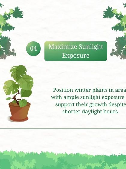 With shorter daylight hours in winter, we make sure to position plants where they can get as much sunlight as possible. This helps support their growth even when the sun is scarce.