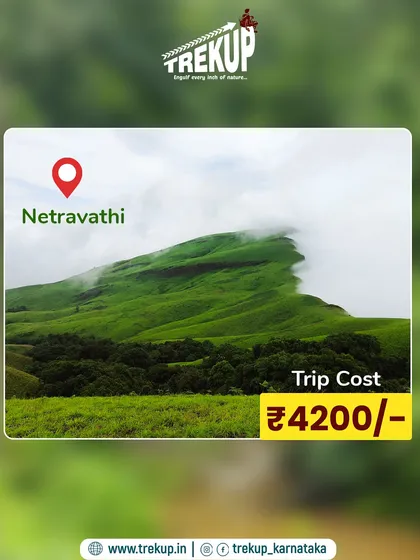 The Netravathi trek package. For ₹4200, we take care of everything from transport to guides, so you can just enjoy the view.