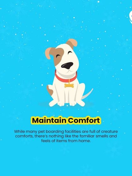 To prepare for boarding, maintain comfort. While we have creature comforts, bringing familiar items from home can help your pet settle in.