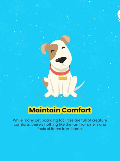 To prepare for boarding, maintain comfort. While we have creature comforts, bringing familiar items from home can help your pet settle in.