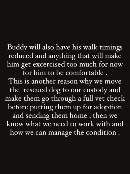 PL Paws - Animal Rescue & Rehabilitation How Your Donations Help: Our Medical Cases photo 37