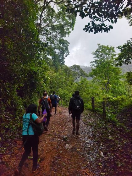 Trekking through a forest path on our offbeat waterfall trek. Our routes take you deep into the heart of nature.