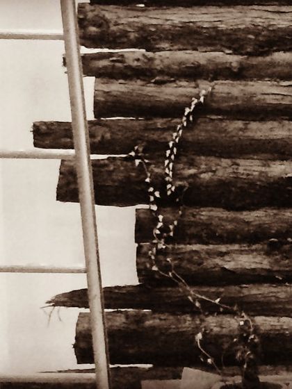 Research & Material Innovation photo 4