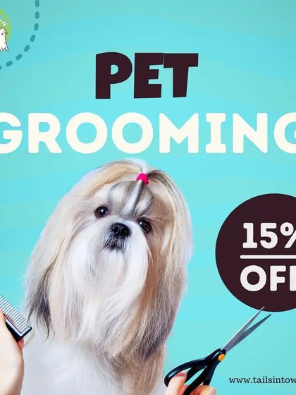 Tails in Town - Pet Grooming Dog Grooming Services photo 6
