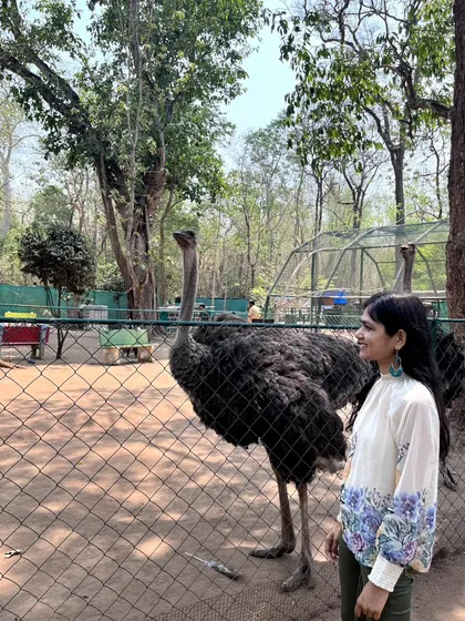 A close encounter with an ostrich at the Kaveri Nisargadhama Forest Park. It's incredible to see such unique creatures up close.