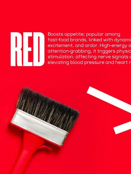 Paint My Walls - Painting Services Free Color Consultation & Inspiration photo 56