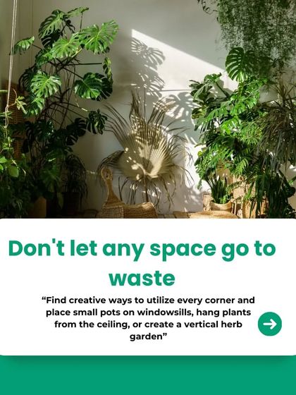 This tip encourages you to see the potential in every corner. I can help you find those overlooked spots, like windowsills or empty vertical spaces, and turn them into beautiful homes for small potted plants or a hanging herb garden.