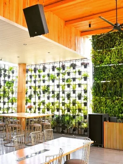 At Rock Salt restaurant and bar, we combined two of our signature solutions. A massive, dense living wall serves as a stunning feature, while an adjacent plant grid wall adds texture and openness, together creating a lush, immersive dining experience with over 7,400 plants.