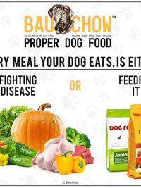 Customized Fresh Dog Meals