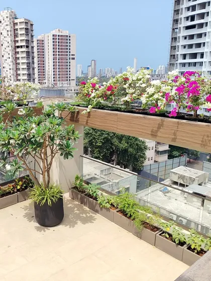 This is the kind of green paradise I can create for you. Imagine relaxing on your own terrace garden, surrounded by beautiful flowers, with a stunning view of the Mumbai skyline. I handle everything from planning to planting.