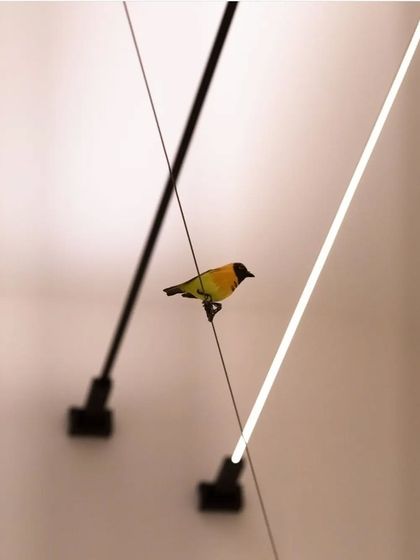 Inspiration from Euroluce, the world's leading lighting exhibition. This image captures a delicate, artistic installation, reflecting the kind of creativity and upcoming trends that influence our designs.