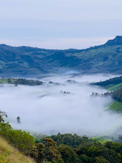 A duplicate shot of the misty Munnar valley.